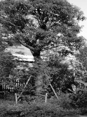 浦口注册公司